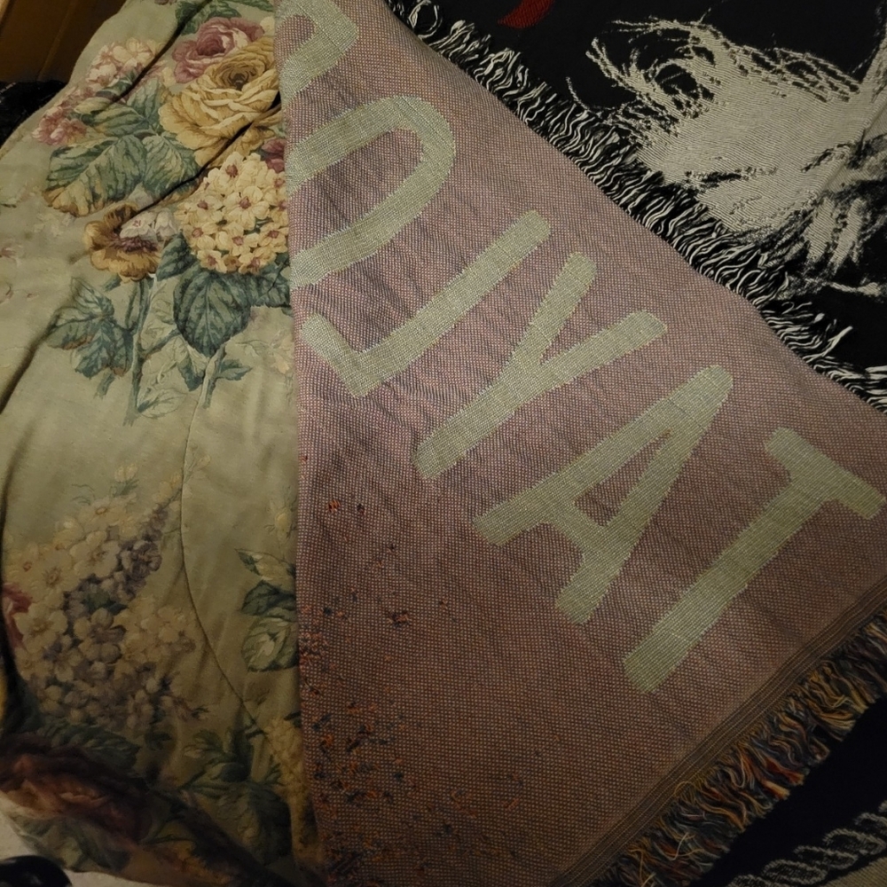 Taylor Swift Red Album Blanket Taylors Version Alternate Cover Art NWOT - Picture 4 of 5